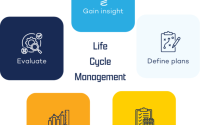 The process of Life Cycle Management