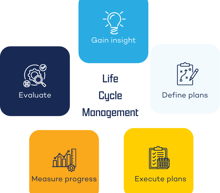 The process of Life Cycle Management