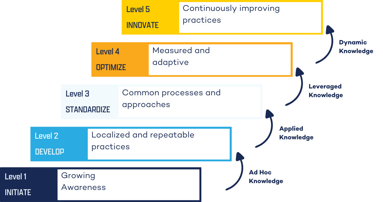 CMMI-Reifegradmodell für das Portfoliomanagement