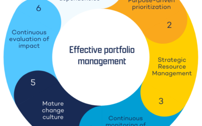 Effectief Portfoliomanagement in 6 fasen